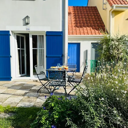L'avocette Cayeux-sur-Mer