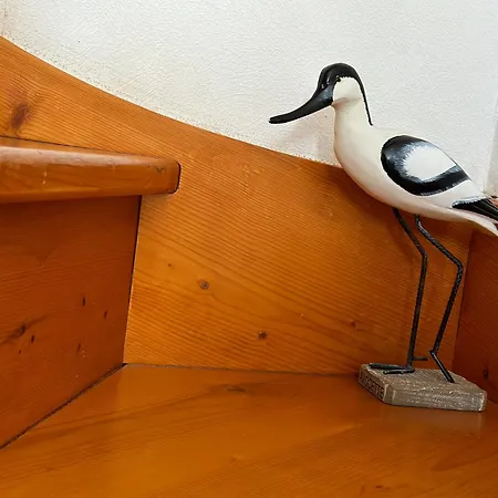 L'avocette Σπίτι διακοπών Cayeux-sur-Mer